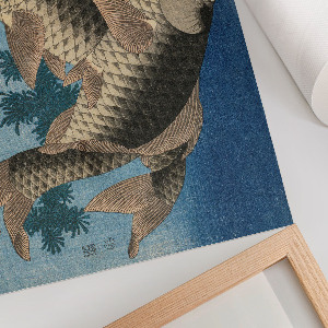 Fali poszter Kapr v mořských řasách