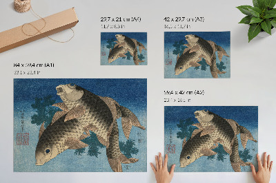 Kapor a tengeri algák között — fali poszter