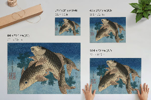 Fali poszter Kapr v mořských řasách