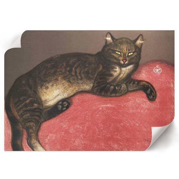 Fali poszter Kočka na polštáři