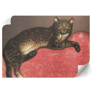 Fali poszter Kočka na polštáři