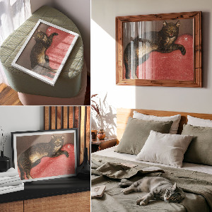 Fali poszter Kočka na polštáři