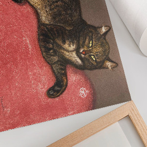 Fali poszter Kočka na polštáři