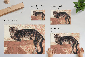 Plakát Kočka na zábradlí