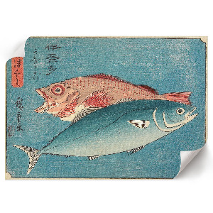 Poszter nyomtatás Žlutoocasý a okoun