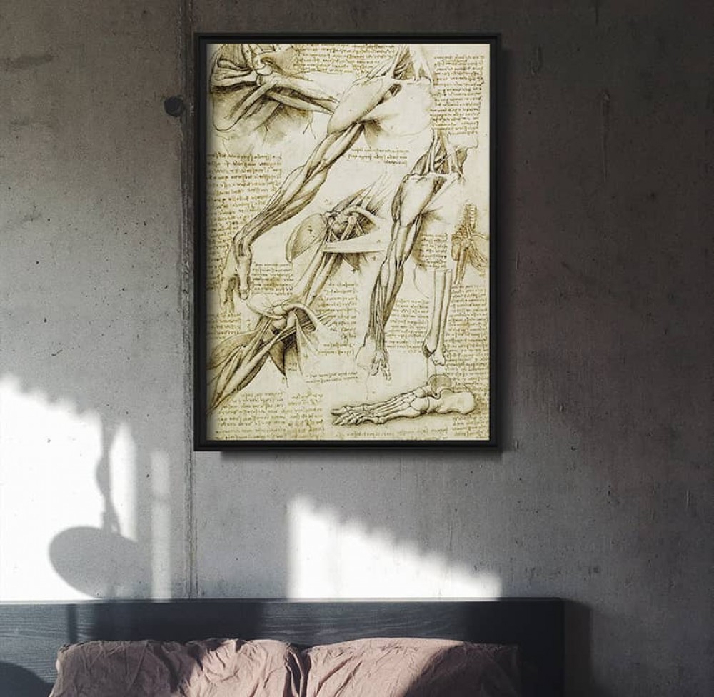 Leonardo da Vinci anatómiai poszterek