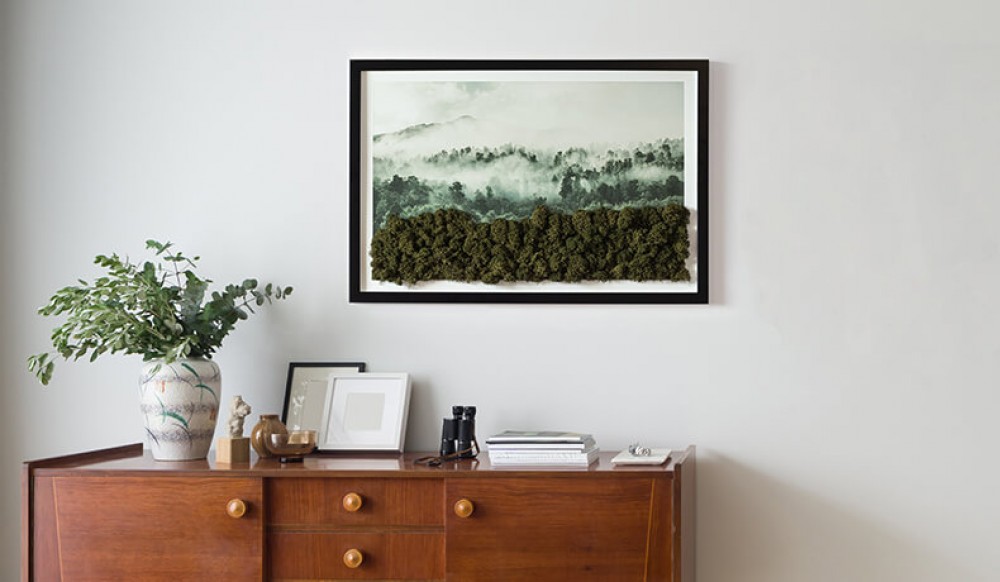 Moha moha festményei