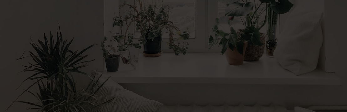 Növényekkel kapcsolatos plakátok 