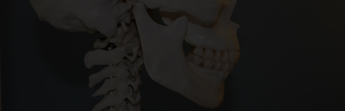 Anatómiával kapcsolatos plakátok 